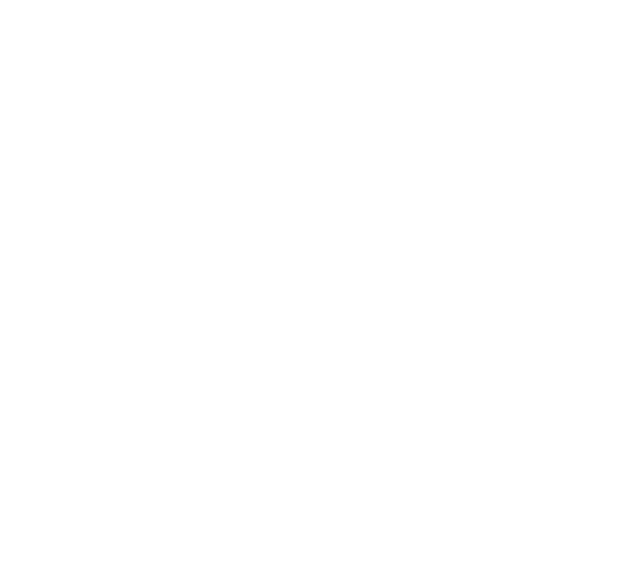 GKN Fokker diap